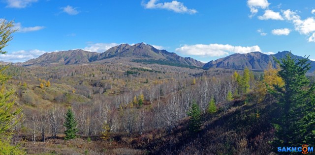 305-пан-к

Просмотров: 574
Комментариев: 0