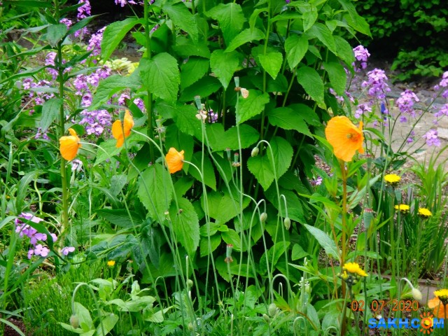 DSC02324

Просмотров: 548
Комментариев: 0