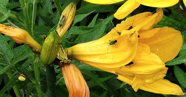 DSC00185
Фотограф: Сергей Буркацкий

Просмотров: 516
Комментариев: 0