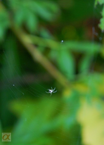 ***
Фотограф: Сергей Буркацкий

Просмотров: 691
Комментариев: 0