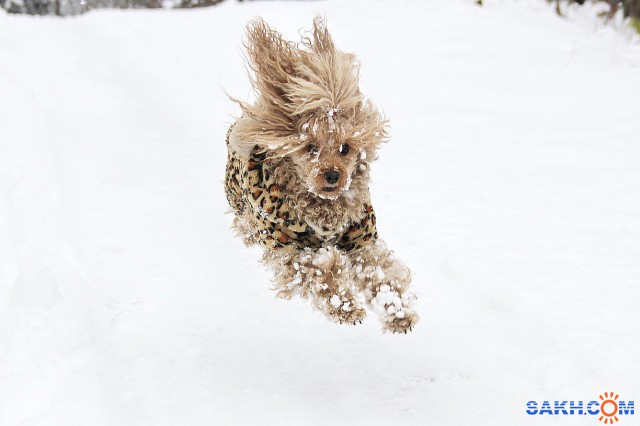 Мелька

Просмотров: 754
Комментариев: 0