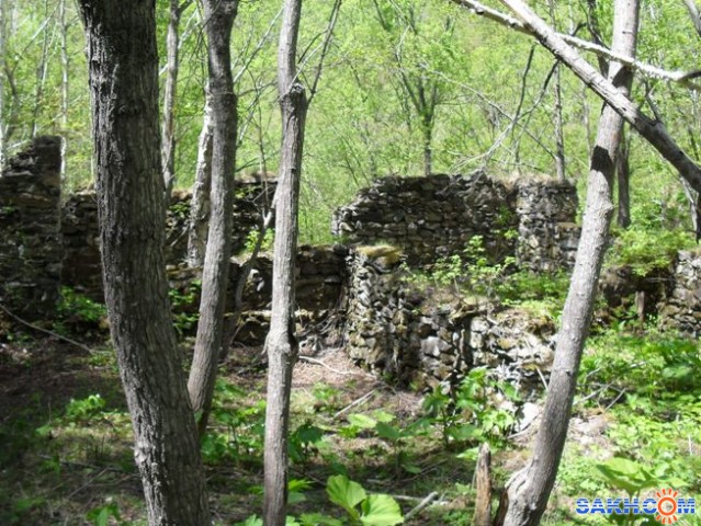 Таинственные развалины большого дома за Хомутовскими скалами

Просмотров: 1673
Комментариев: 3