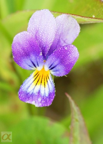 ***

Просмотров: 1055
Комментариев: 0