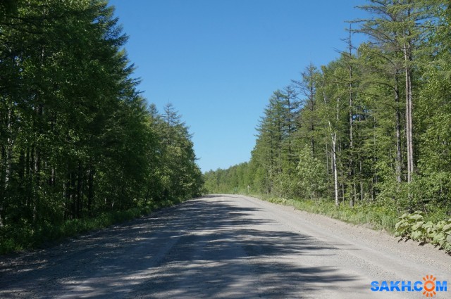 DSC07129
Фотограф: vikirin

Просмотров: 1167
Комментариев: 0