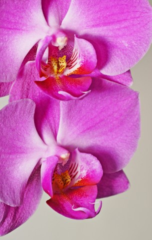 ***
Фотограф: Сергей Буркацкий

Просмотров: 1158
Комментариев: 0