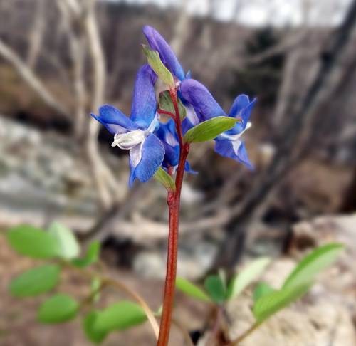 DSC01302
Фотограф: Сергей Буркацкий

Просмотров: 453
Комментариев: 0