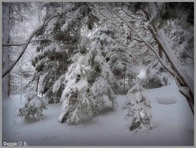 обкатка снегоступов
Фотограф: Федик О.Б.

Просмотров: 521
Комментариев: 0