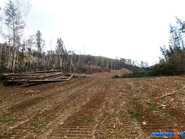 Здесь мы много лет праздновали Новый Год

Просмотров: 718
Комментариев: 0