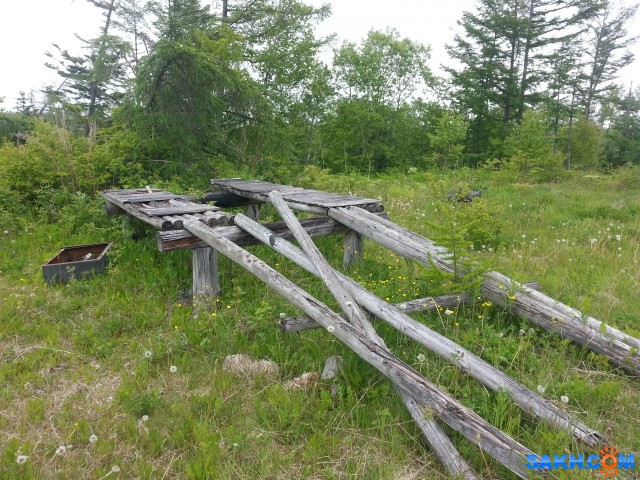 20180617_140029

Просмотров: 694
Комментариев: 0
