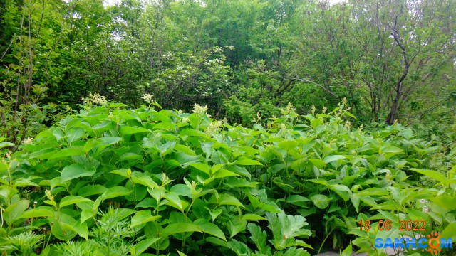 DSC09908

Просмотров: 322
Комментариев: 0