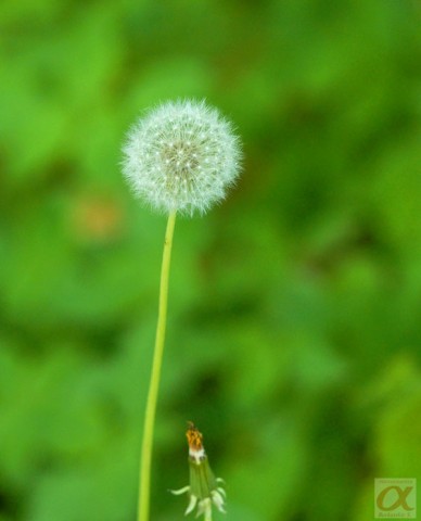 ***
Фотограф: Сергей Буркацкий

Просмотров: 1115
Комментариев: 0