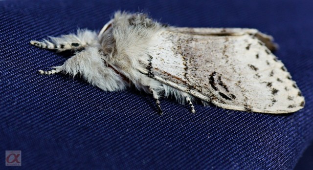 ***
Фотограф: Сергей Буркацкий

Просмотров: 870
Комментариев: 0