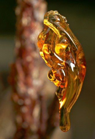 ***
Фотограф: Сергей Буркацкий

Просмотров: 804
Комментариев: 0