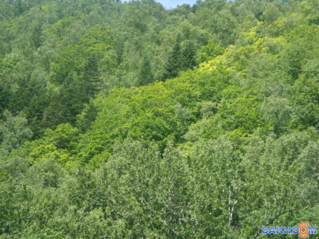 DSC03765

Просмотров: 4159
Комментариев: 0