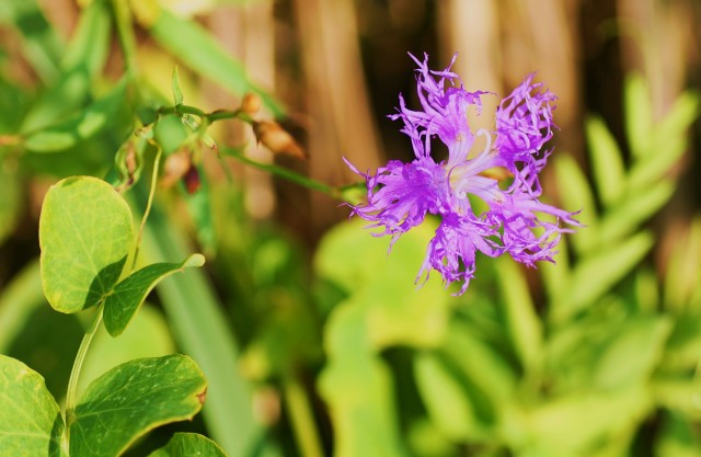 ***
Фотограф: Сергей  Буркацкий

Просмотров: 1146
Комментариев: 0