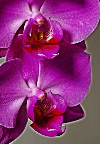 ***
Фотограф: Сергей Буркацкий

Просмотров: 947
Комментариев: 0