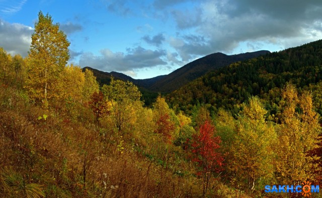 078-пан-к

Просмотров: 950
Комментариев: 0