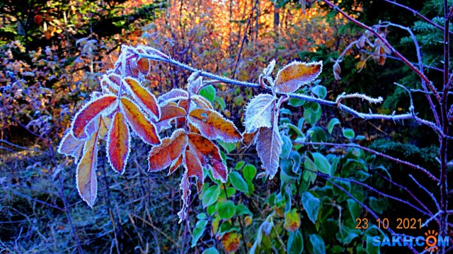 DSC06932

Просмотров: 458
Комментариев: 0