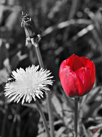 Арт-фильтр1_

Просмотров: 1245
Комментариев: 0