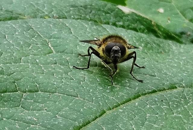 DSC00296
Фотограф: Сергей Буркацкий

Просмотров: 147
Комментариев: 0