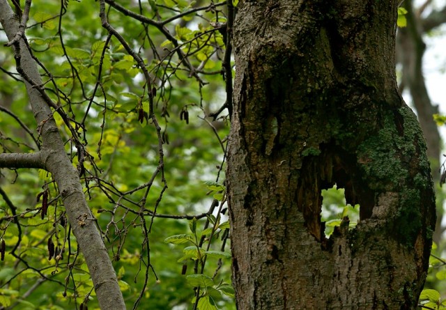 ***
Фотограф: Сергей Букацкий

Просмотров: 815
Комментариев: 0