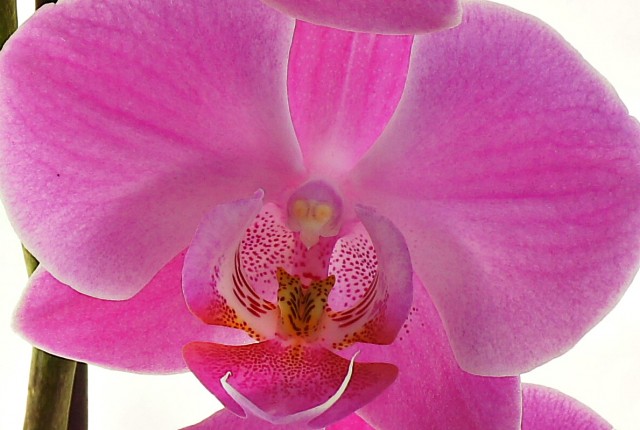 ***
Фотограф: Сергей Буркацкий

Просмотров: 975
Комментариев: 0