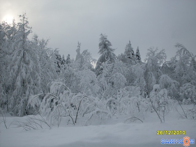Белое безмолвие
Фотограф: Maricha

Просмотров: 6462
Комментариев: 0