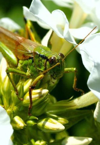 ***
Фотограф: Сергей Буркацкий

Просмотров: 1195
Комментариев: 2
