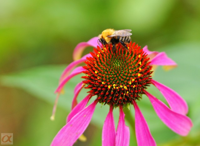 ***
Фотограф: Сергей Буркацкий

Просмотров: 846
Комментариев: 0