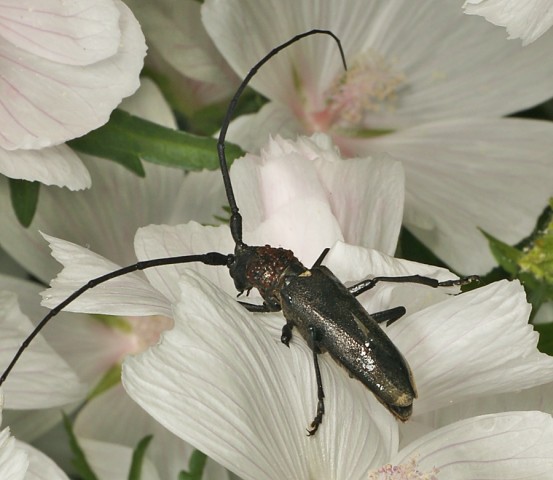 DSC01790
Фотограф: Сергей Буркацкий

Просмотров: 353
Комментариев: 0