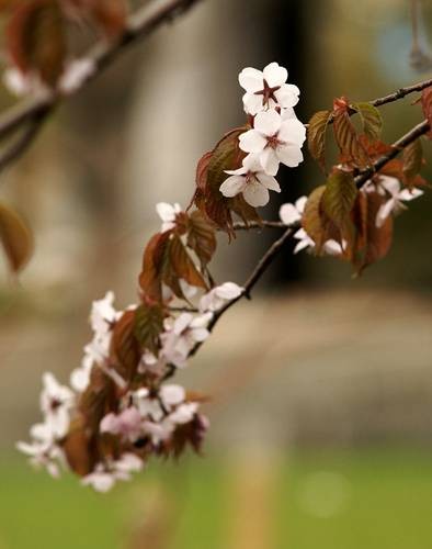 DSC04864
Фотограф: Сергей Буркацкий

Просмотров: 380
Комментариев: 0
