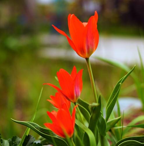 DSC05409
Фотограф: Сергей Буркацкий

Просмотров: 418
Комментариев: 0