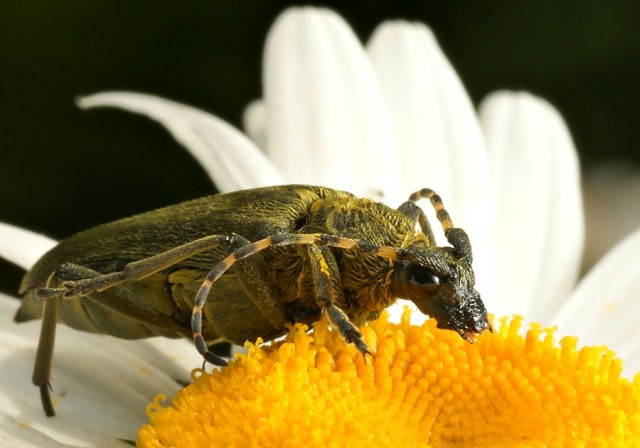 DSC01741
Фотограф: Сергей Буркацкий

Просмотров: 326
Комментариев: 0