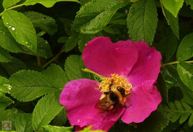 ***
Фотограф: Сергей Буркацкий

Просмотров: 777
Комментариев: 0