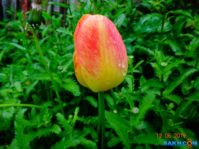 DSC08670

Просмотров: 688
Комментариев: 0