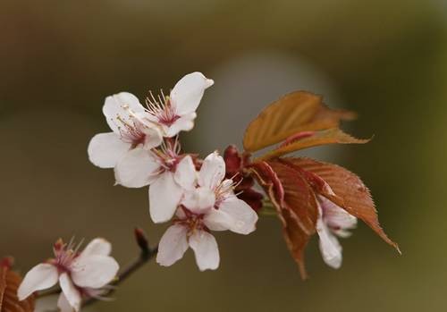 DSC04853
Фотограф: Сергей Буркацкий

Просмотров: 501
Комментариев: 0