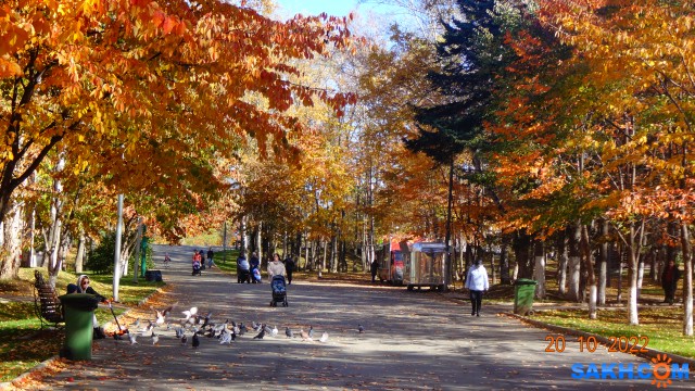 DSC04954
Аллея сакуры.

Просмотров: 340
Комментариев: 0