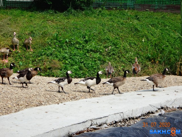 DSC03971

Просмотров: 790
Комментариев: 0