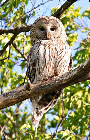***
Фотограф: Сергей Буркацкий

Просмотров: 1045
Комментариев: 0