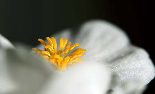 DSC05494
Фотограф: Сергей Буркацкий

Просмотров: 376
Комментариев: 0