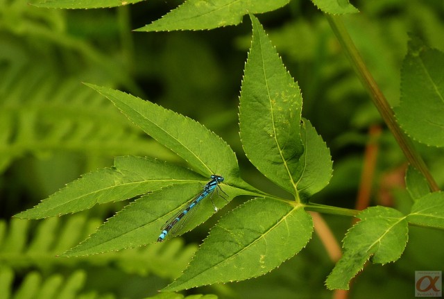***
Фотограф: Сергей Буркацкий

Просмотров: 798
Комментариев: 0