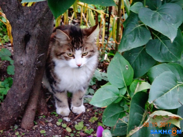 DSC07115

Просмотров: 966
Комментариев: 0