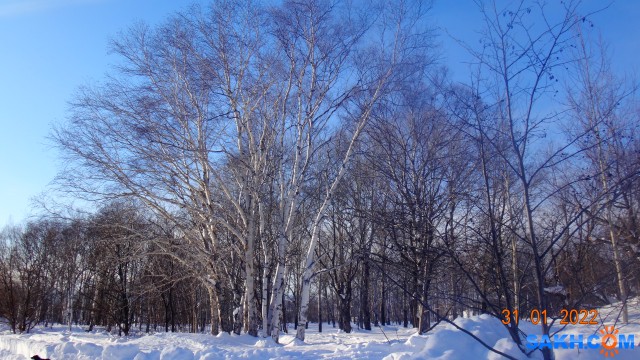 DSC08443

Просмотров: 408
Комментариев: 0