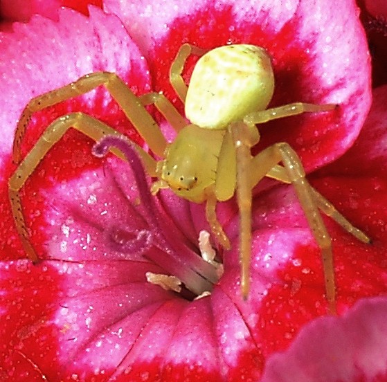 DSC01898
Фотограф: Сергей Буркацкий

Просмотров: 570
Комментариев: 0