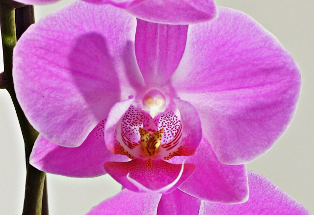 ***
Фотограф: Сергей Буркацкий

Просмотров: 843
Комментариев: 0