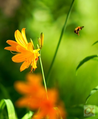 ***
Фотограф: Сергей Буркацкий

Просмотров: 793
Комментариев: 0