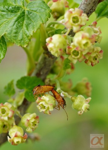 ***
Фотограф: Сергей Буркацкий

Просмотров: 819
Комментариев: 0