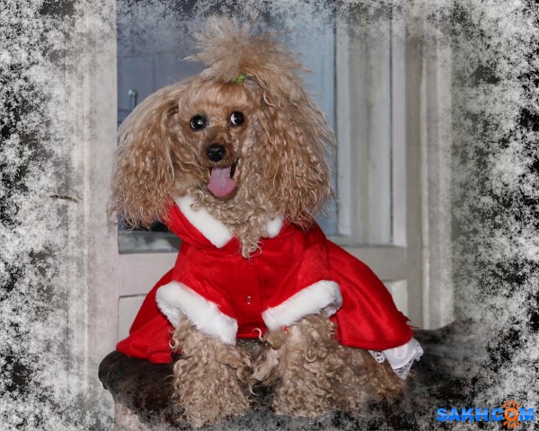 Мелька

Просмотров: 724
Комментариев: 0