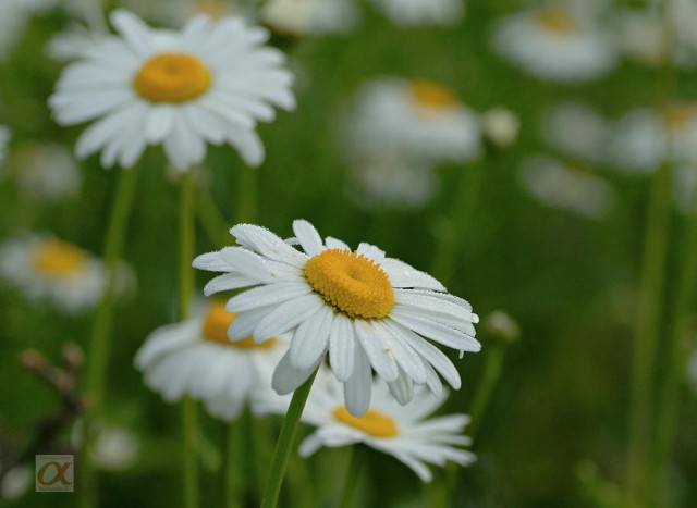 ***

Просмотров: 856
Комментариев: 0