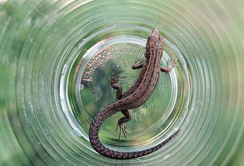 DSC04165
Фотограф: Сергей Буркацкий

Просмотров: 420
Комментариев: 0